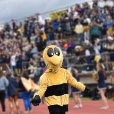 Wasps and Hornets Are Causing a Buzz at EHS