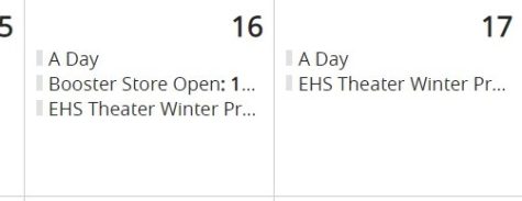Screenshot of calendar from EHS website