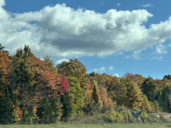 Fall Fun Around Essex