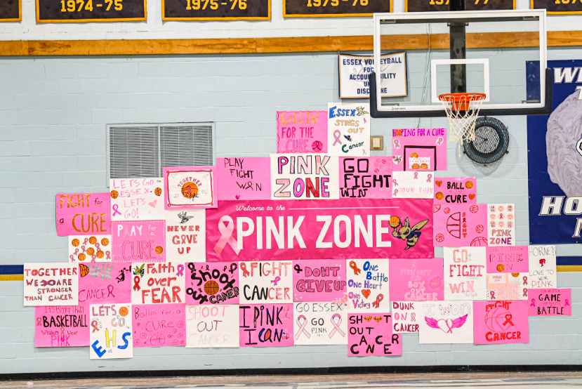 EHS Pink Zone